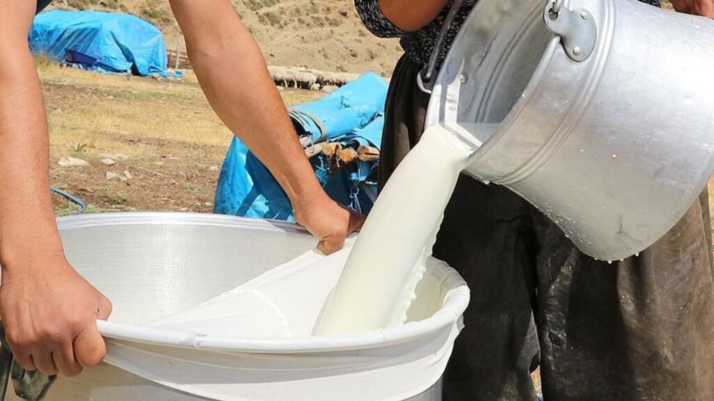 Süt Üreticileri Maliyetin Altında: 24,30 TL vs 28,35 TL Uçurumu